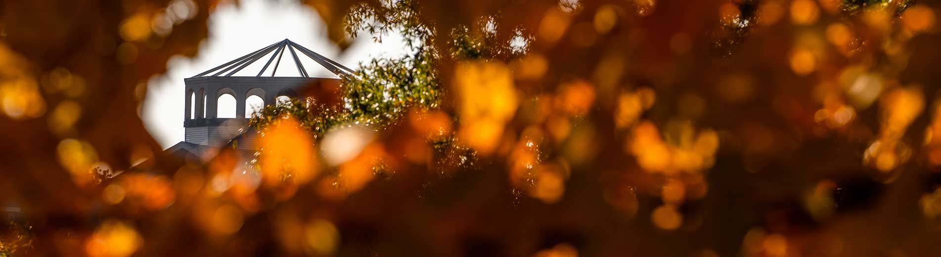 campus in fall